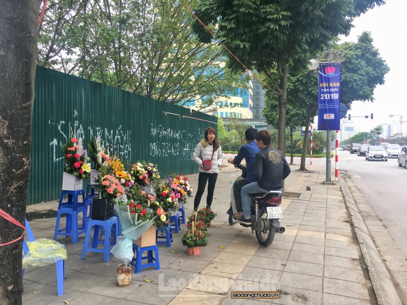 hoa tran via he ha noi truoc ngay 83