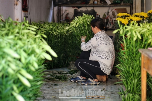 nguo i dan tay tu u phan khoi gia hoa ho i sinh sau di ch