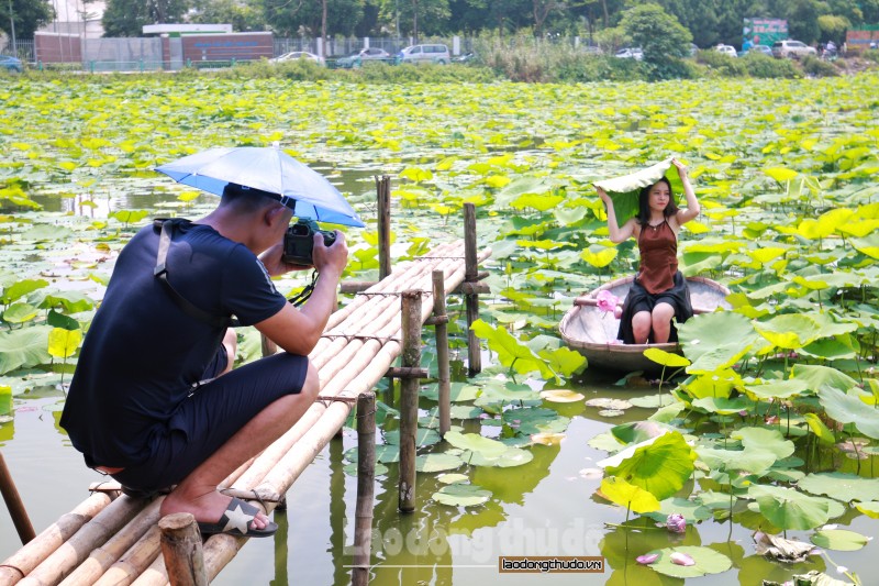 nguoi dan thu do hao huc chup hoa sen dau mua