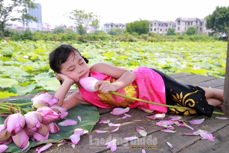 nguoi dan thu do hao huc chup hoa sen dau mua