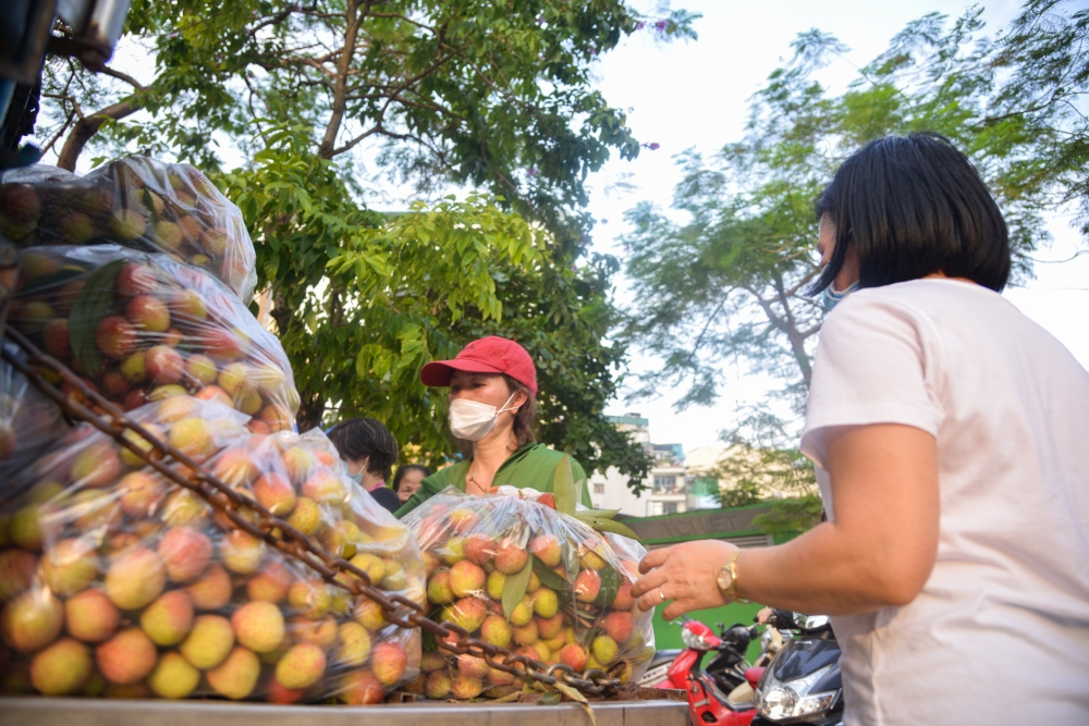 Người dân Hà Nội chung tay giải cứu nông sản Bắc Giang