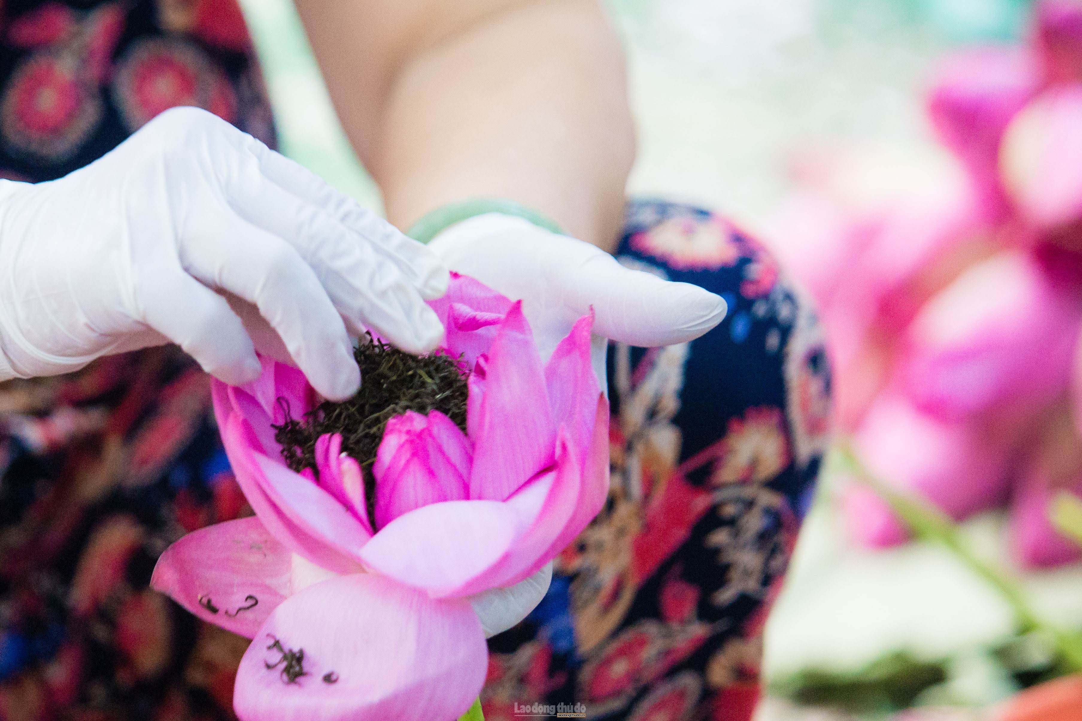 Kỳ công quy trình ướp "thiên cổ đệ nhất trà" Hà Nội