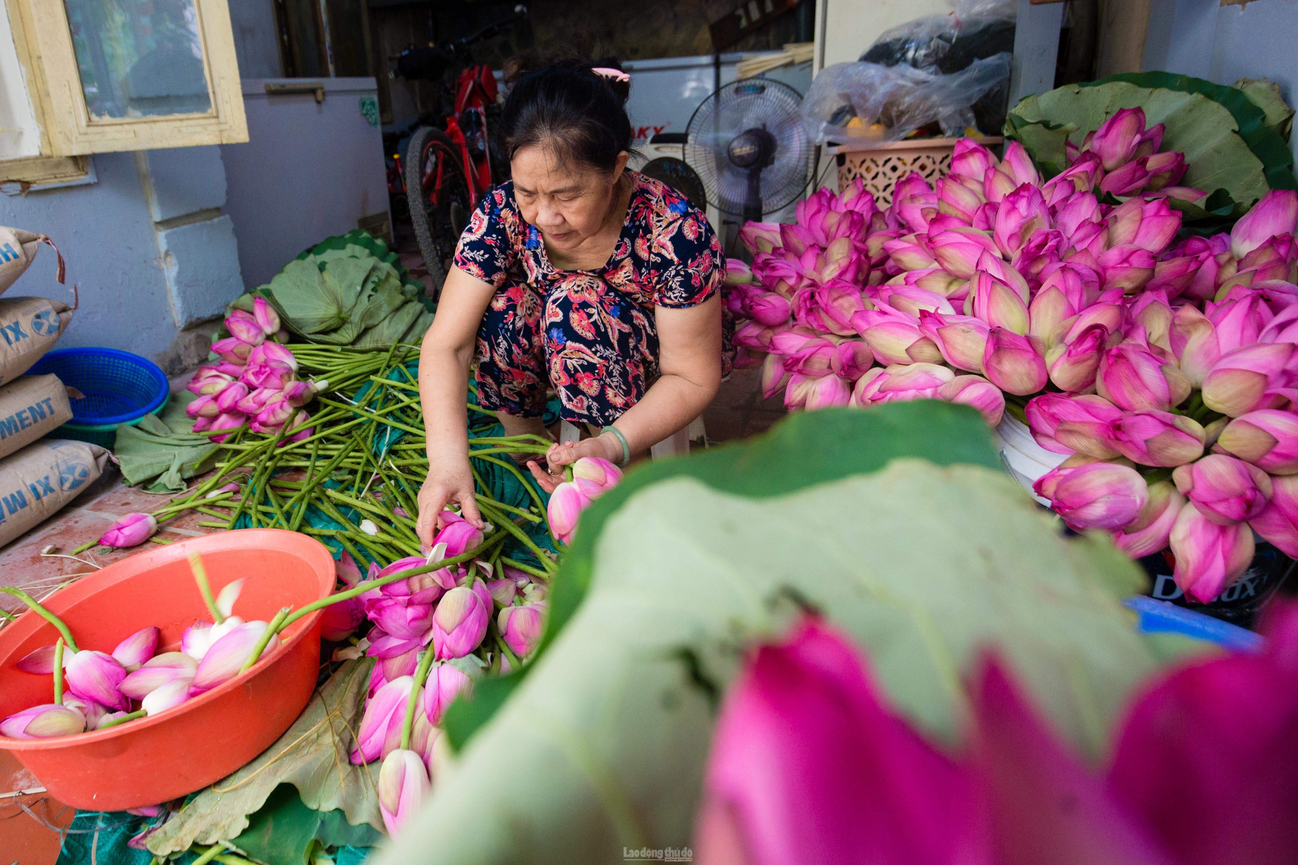 ky cong quy trinh uop thien co de nhat tra ha noi