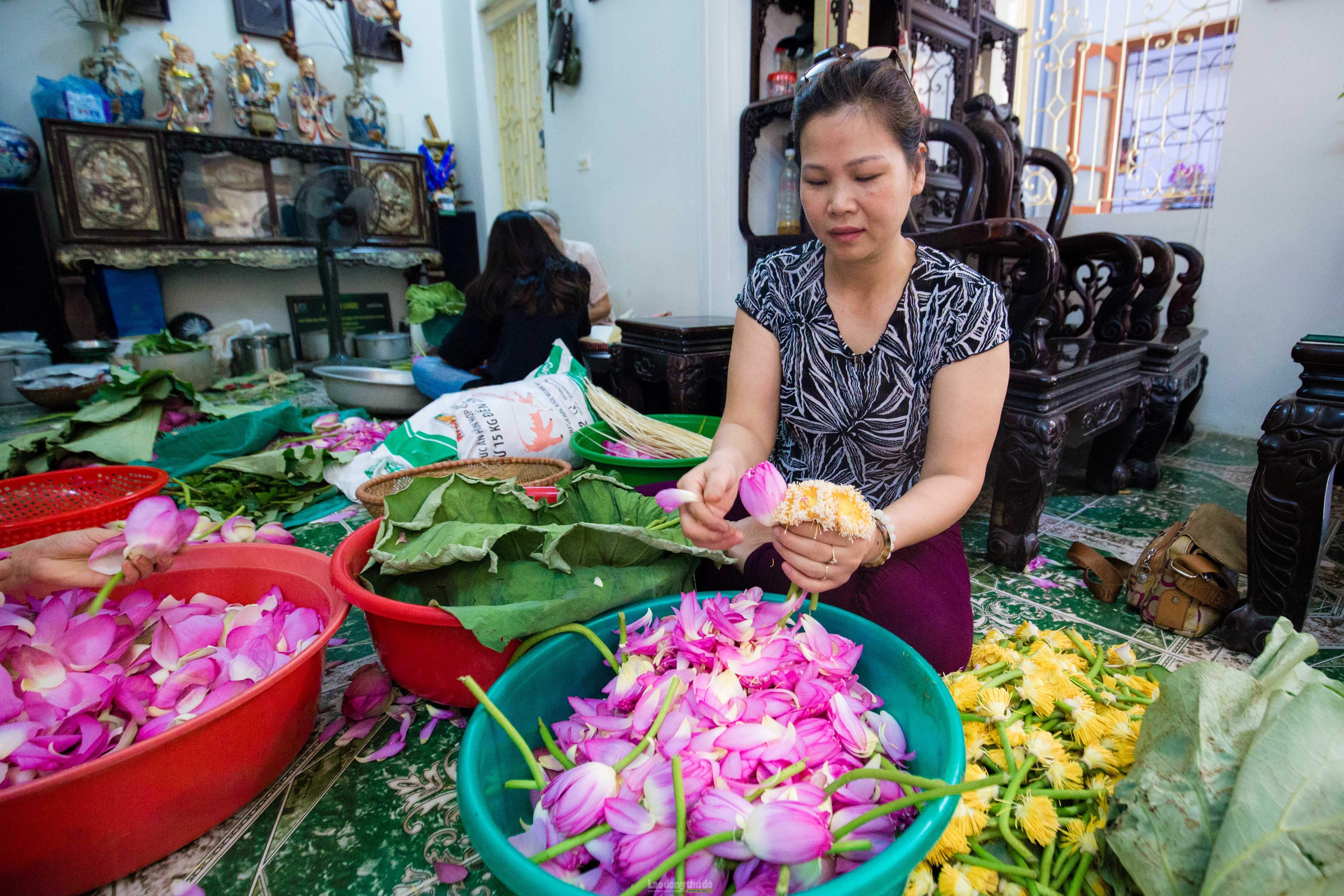 ky cong quy trinh uop thien co de nhat tra ha noi