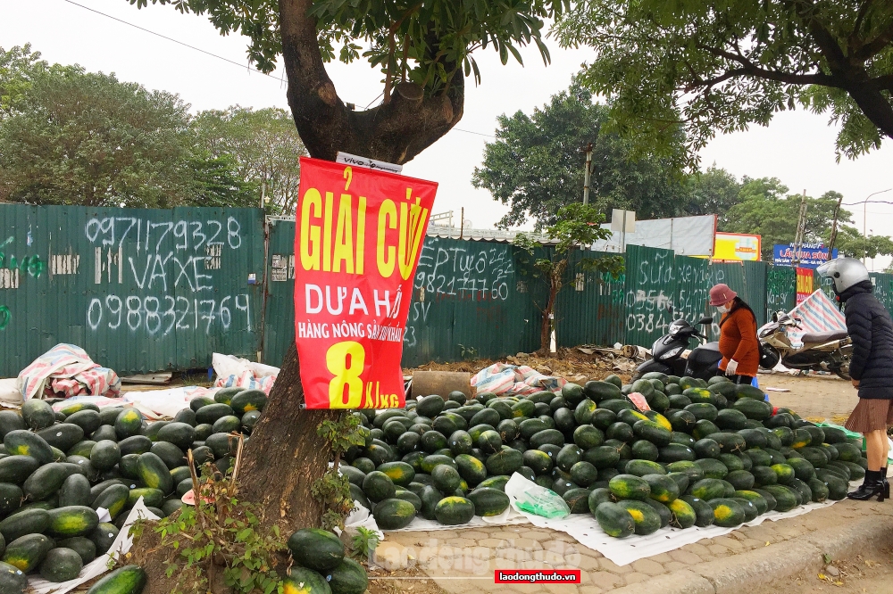 Trái cây xuất khẩu quay đầu về Thủ đô, giờ ra sao?