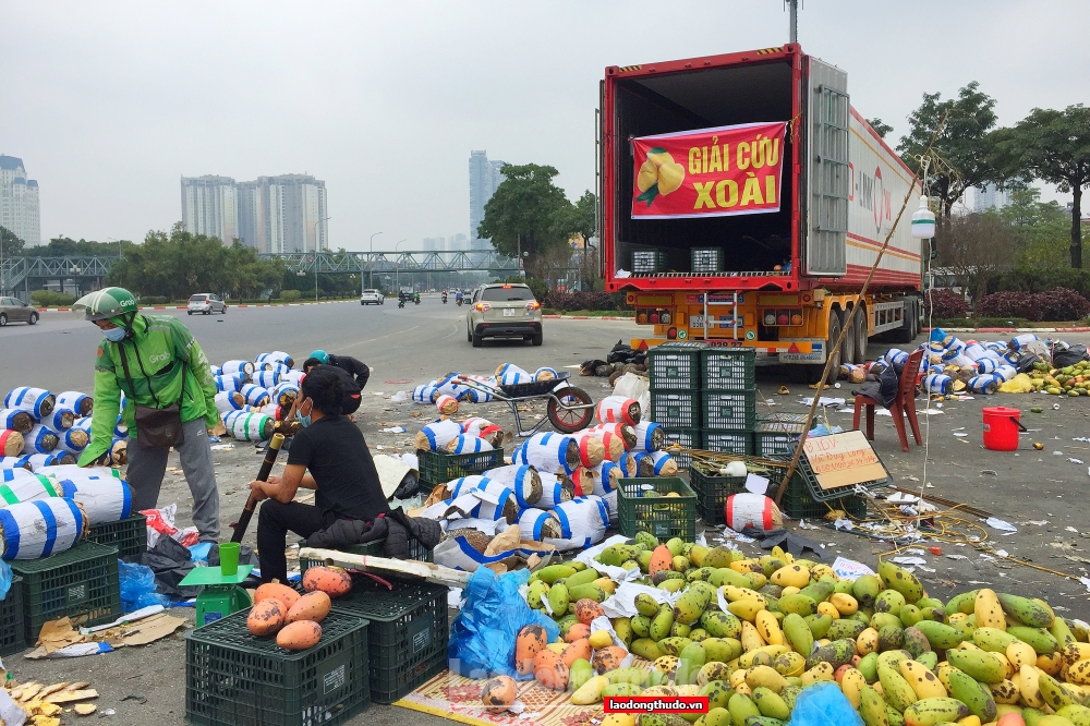 Trái cây xuất khẩu quay đầu về Thủ đô, giờ ra sao?