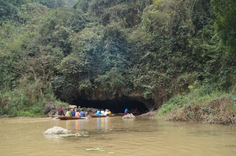 hung vi thung nham