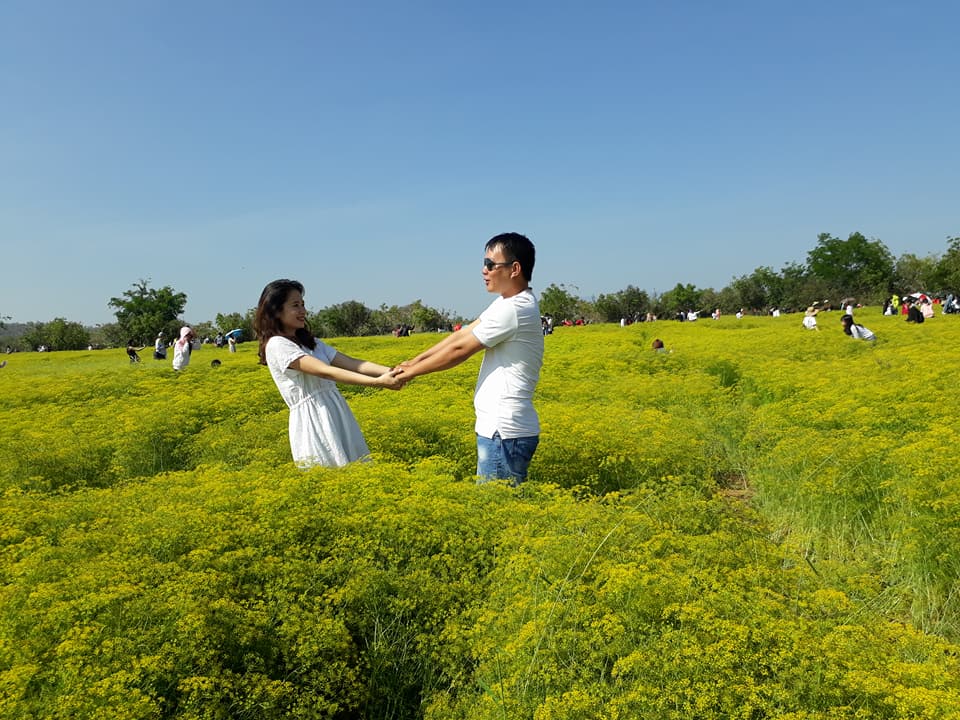 chang no roi chan truoc canh dong hoa thi la dep mo mang o ninh thuan