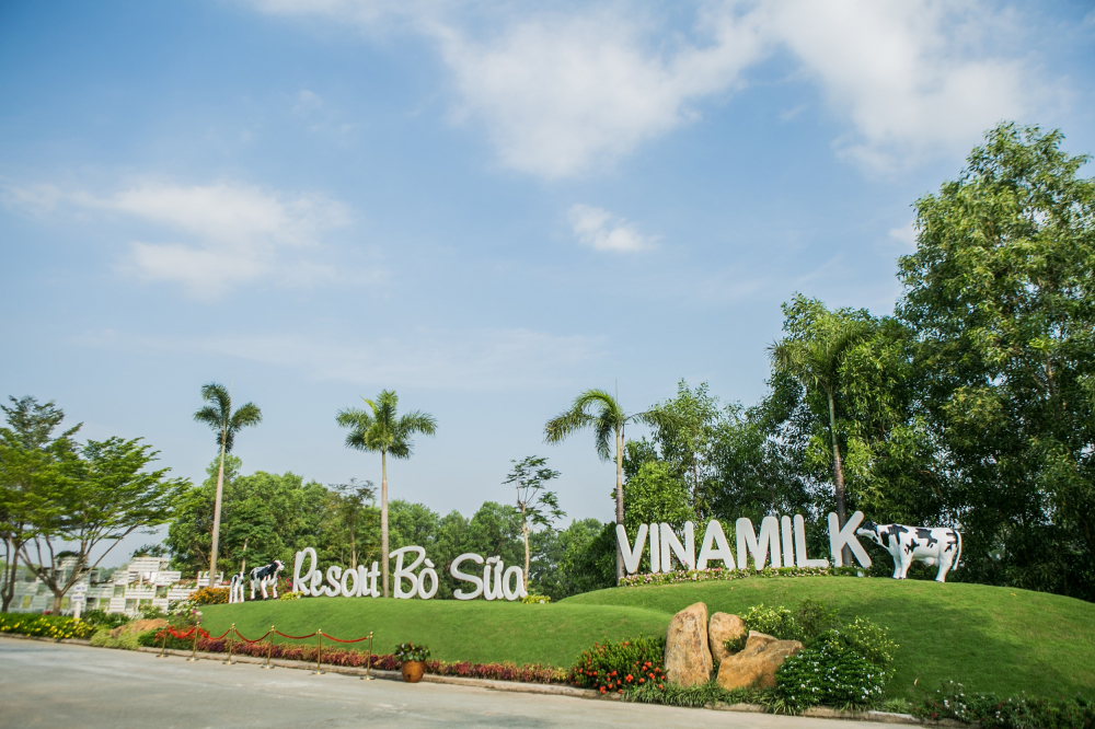 resort bo sua vinamilk tay ninh ngoi nha ly tuong cua nhung co bo hanh phuc