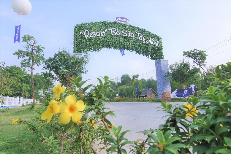 nguoi tieu dung huong loi tu nhung resort bo sua chuan global gap cua vinamilk