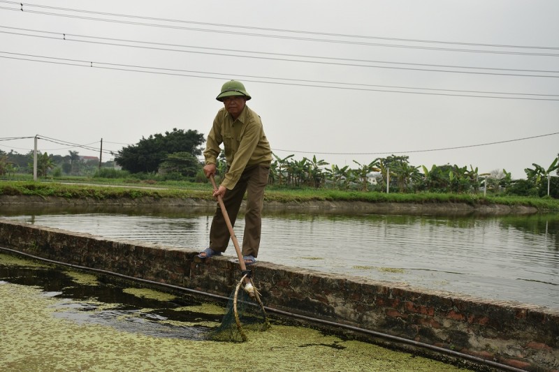 Người lính biến đồng trũng “đơm hoa”