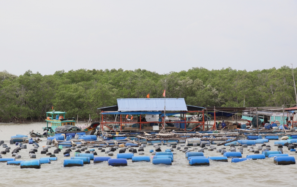 Đề xuất thành lập Khu bảo tồn biển Cần Giờ