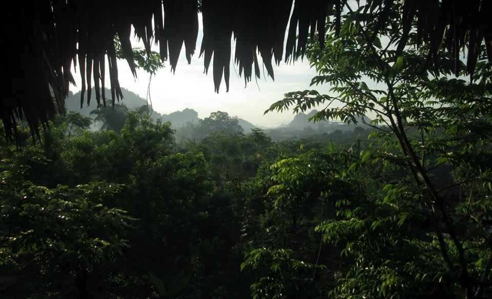 vung cao son la homestay kiem bon tien trong dip nghi le