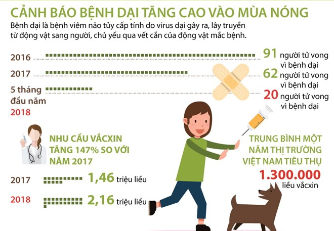 [Infographics] Đã có 20 người tử vong vì bệnh dại trong 5 tháng