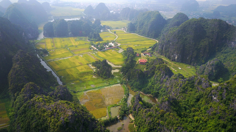 ngo ngan truoc ve dep tam coc mua lua chin