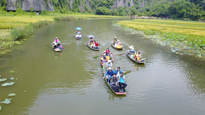 ngo ngan truoc ve dep tam coc mua lua chin