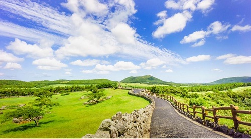 dung bo qua co hoi den dao tinh yeu jeju han quoc