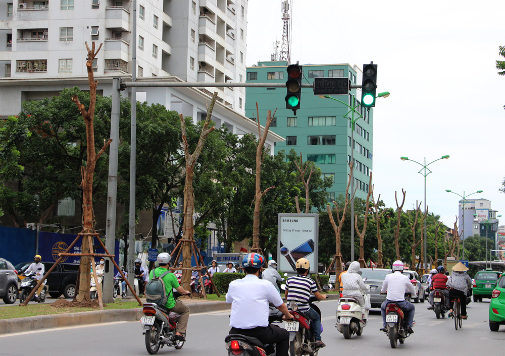 ha noi sap co them nhieu tuyen pho hoa phuong do