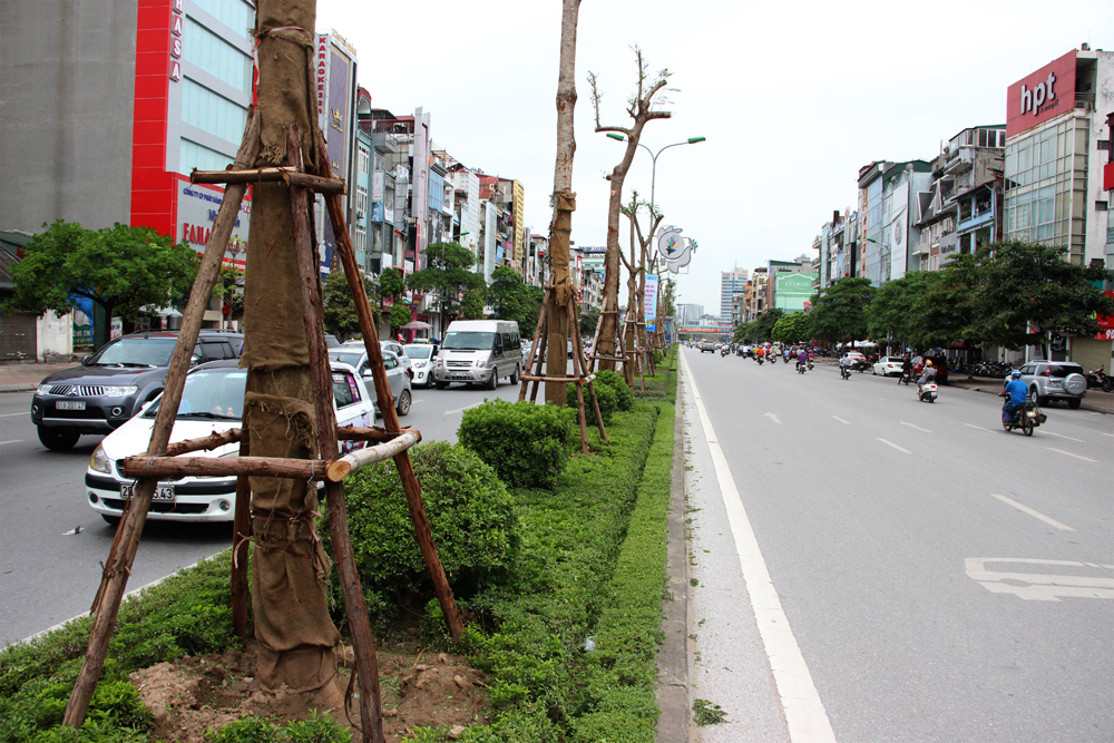 ha noi sap co them nhieu tuyen pho hoa phuong do