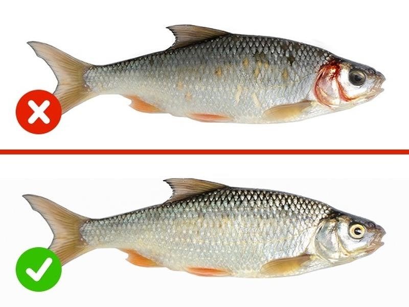 Cách nhận biết thực phẩm an toàn, không bị nhiễm độc