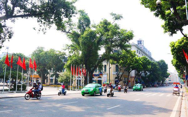 ha noi ruc ro co hoa chao mung quoc khanh 29