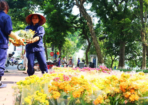 ha noi ruc ro co hoa chao mung quoc khanh 29