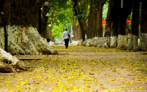 thang 8 lang nghe giai dieu mua thu ha noi