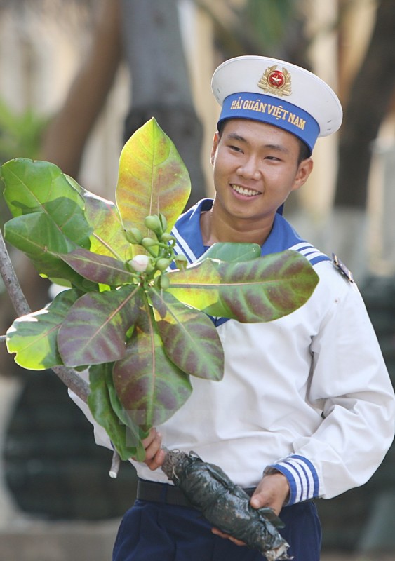 ngam nhin hoa bang vuong khoe sac tai truong sa