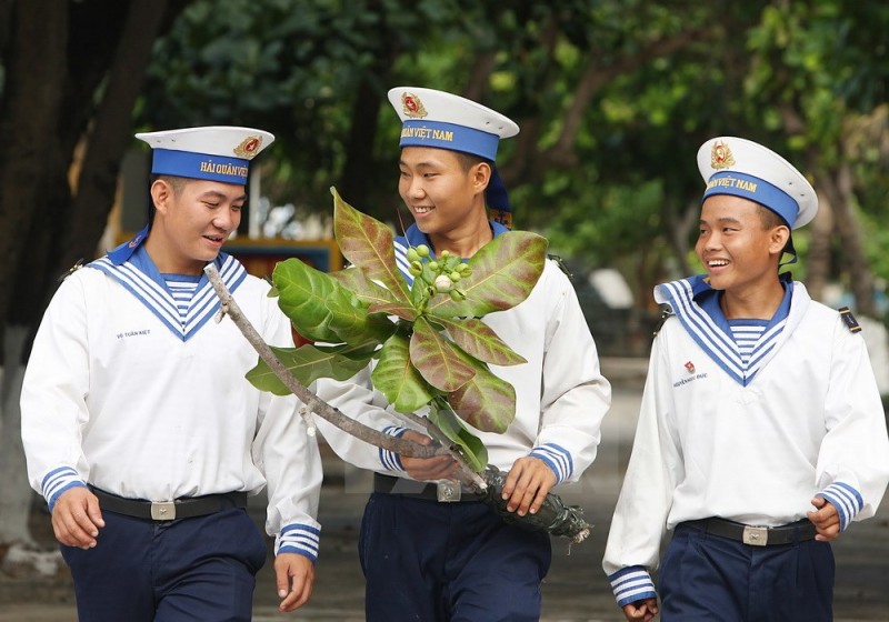 ngam nhin hoa bang vuong khoe sac tai truong sa