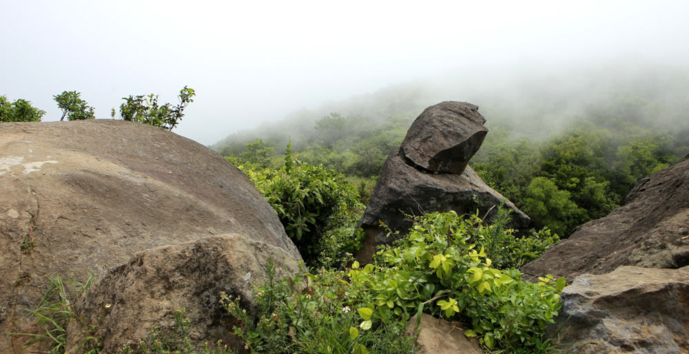 chiem nguong da thanh tu dinh ban co