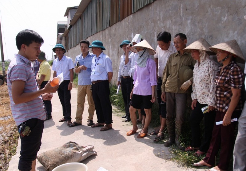 Huyện Đan Phượng: Ứng dụng công nghệ cao, tận dụng vùng đất bãi