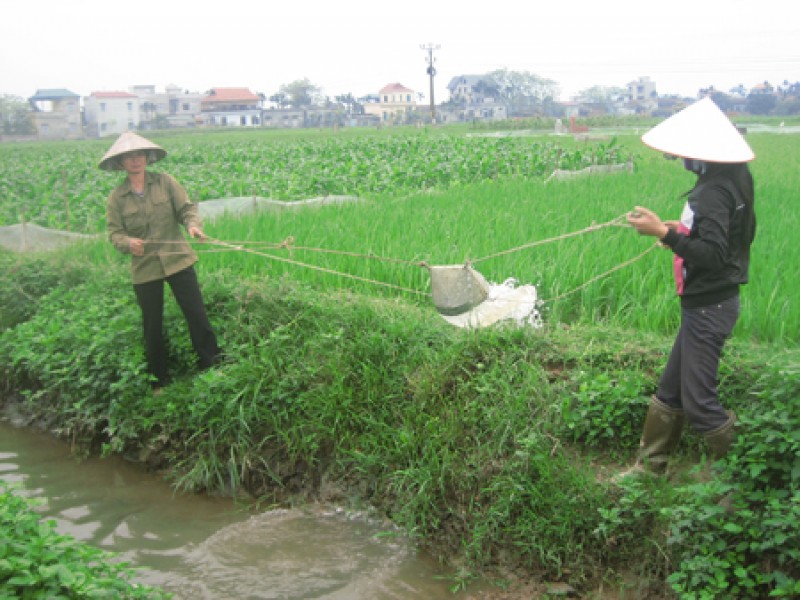 Chuyển phí thủy lợi sang giá dịch vụ: Nông dân lợi hay thiệt ?