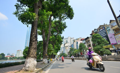 Không chỉ giữ lại “màu xanh”