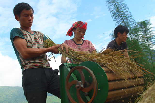 mua vang tu le dep ngo ngang khien ban muon quay luon