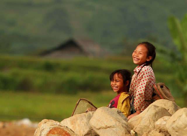 Mùa vàng Tú Lệ đẹp ngỡ ngàng khiến bạn muốn "quẩy" luôn