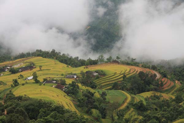 ve dep kho cuong cua ruong bac thang o hoang su phi