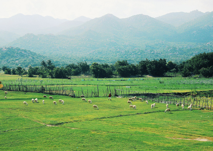 han sara cung da dem cuu roi chi con doi ban nua thoi