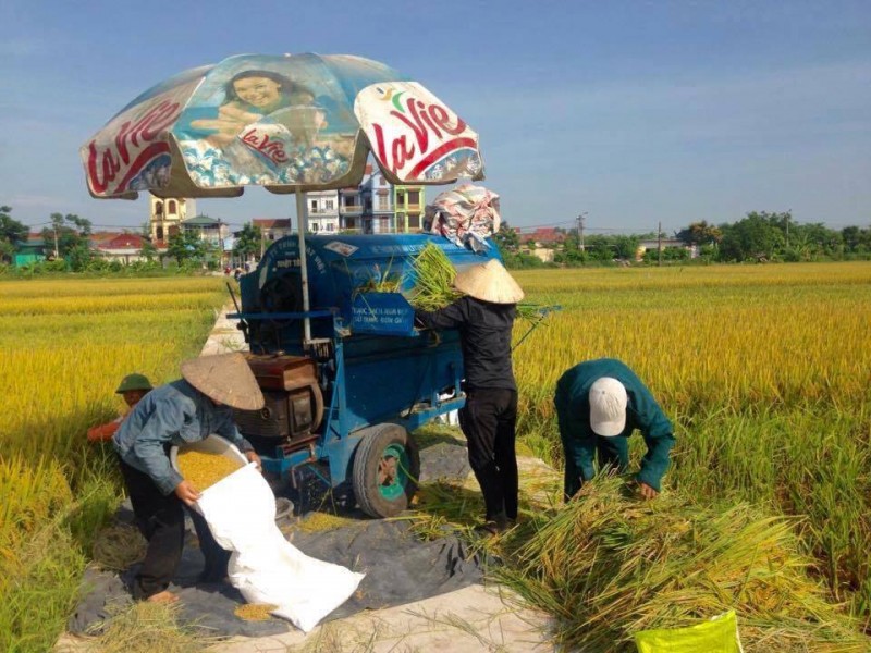 Năng suất và thu nhập đều tăng