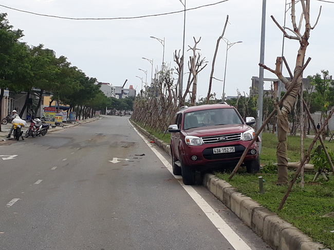 Xế hộp bay lên dải phân cách vì tông phải bò ngủ giữa đường