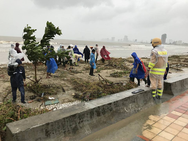 nguoi dan da nang don ve sinh khac phuc hau qua mua bao don apec