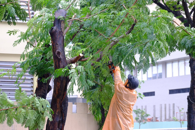 nguoi dan da nang don ve sinh khac phuc hau qua mua bao don apec