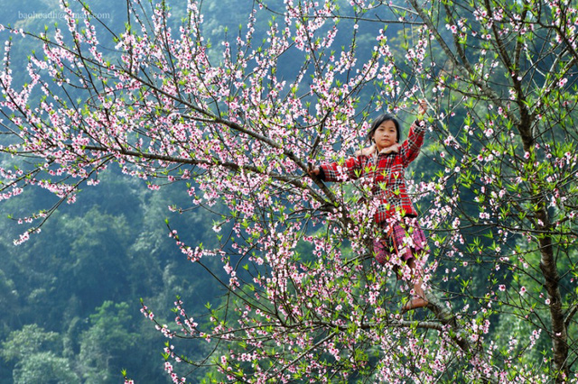 nhung diem du lich phia bac danh cho ky nghi tet duong lich