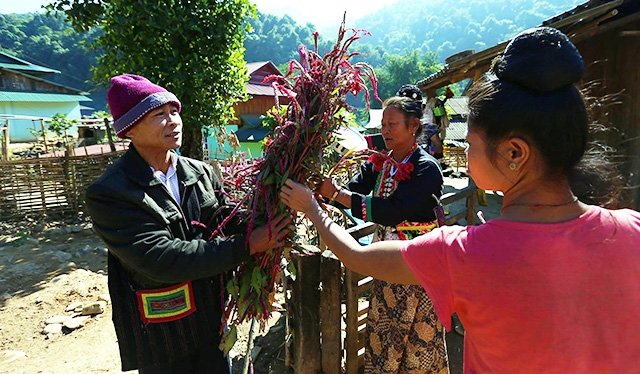 tet hoa cua dong bao dan toc cong