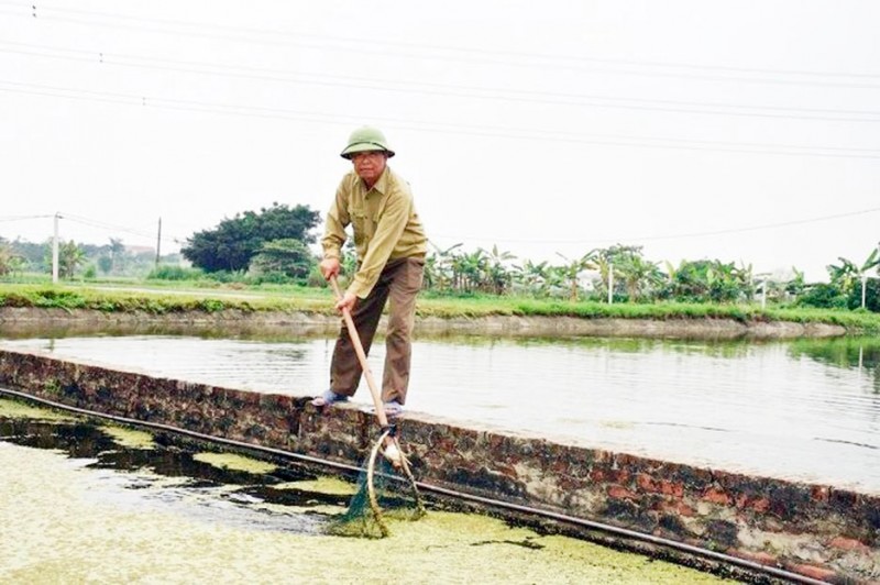 hieu qua tu chuyen doi mo hinh kinh te