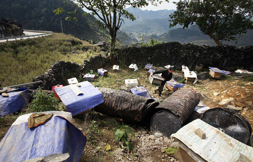 doc dao mat ong bac ha tren cao nguyen da