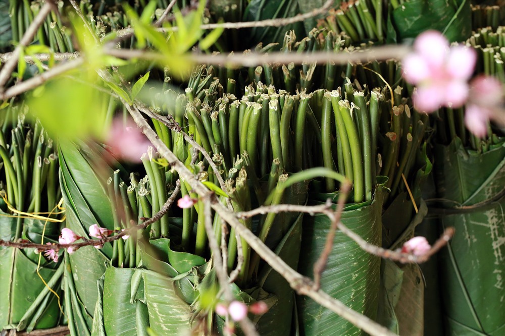 tat bat lang banh chung ha noi