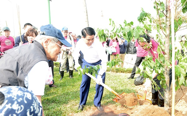 ha noi nhan them 500 cay hoa anh dao nhat ban