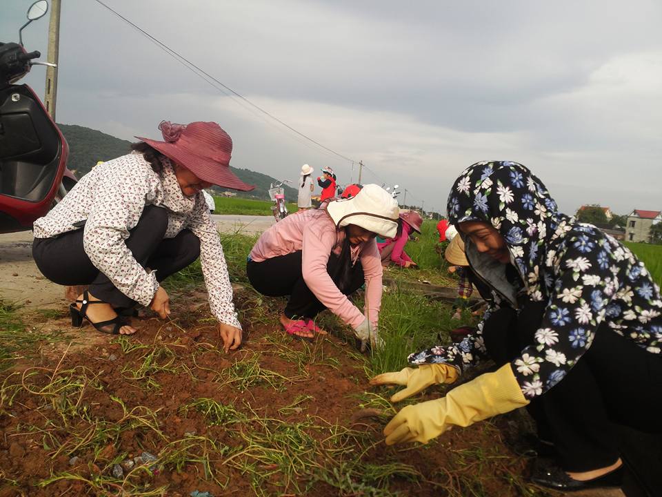 dep ngo ngang nhung con duong lang ruc ro hoa muoi gio o hai duong