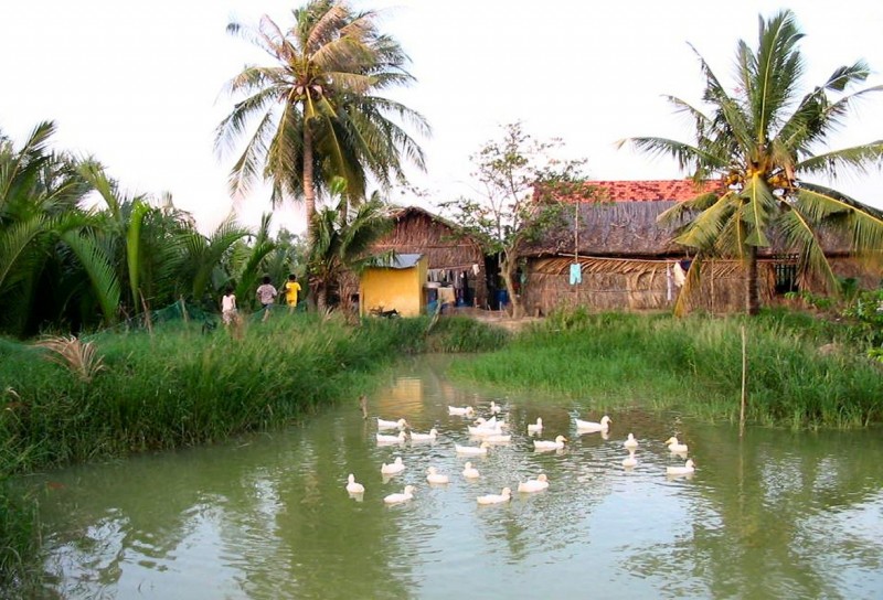 Ắt sẽ thuần là đẹp!