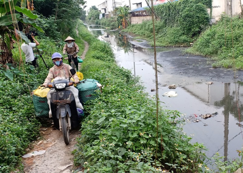 Sẽ cưỡng chế doanh nghiệp vi phạm